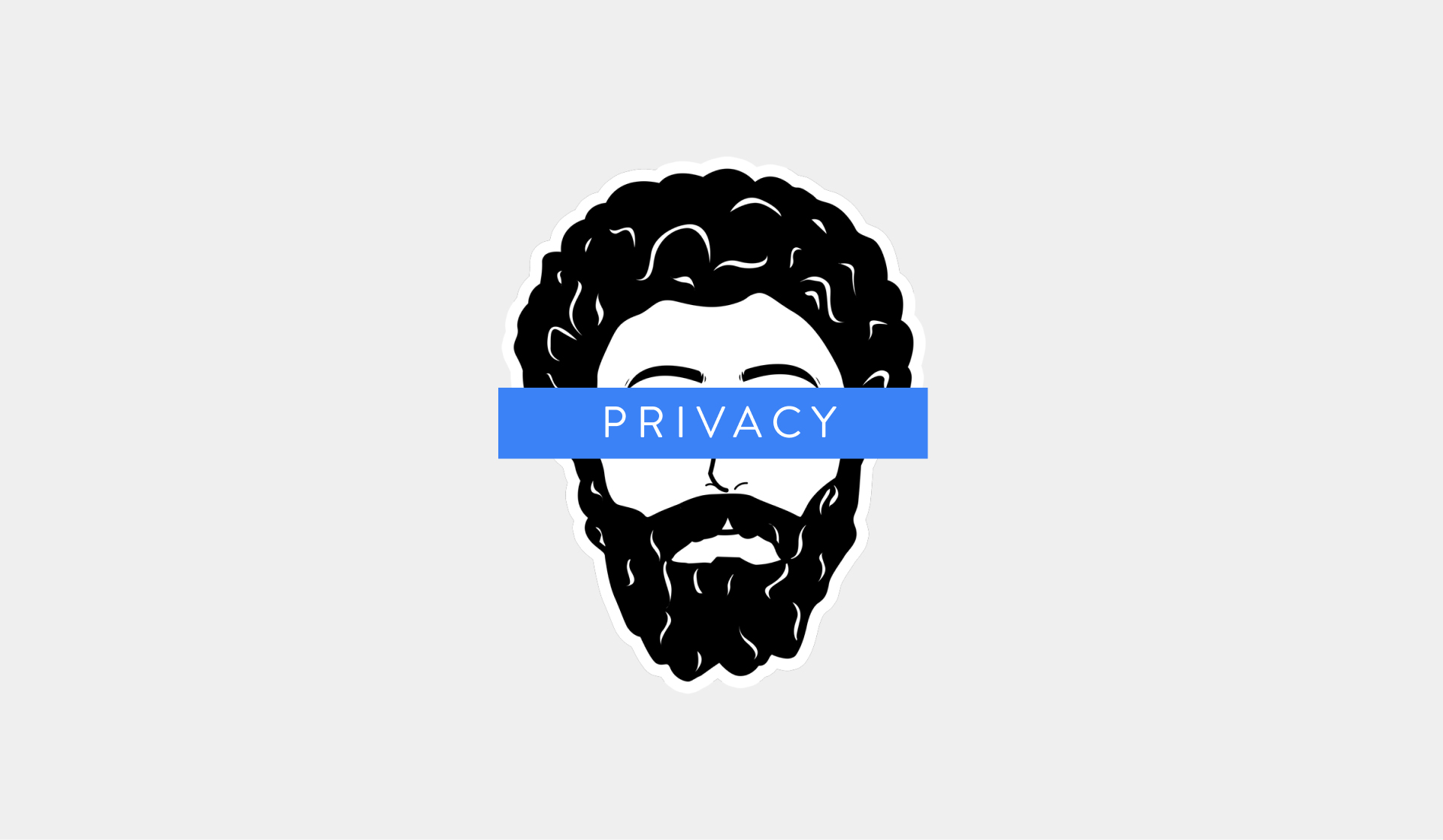Mindsera journal privacy